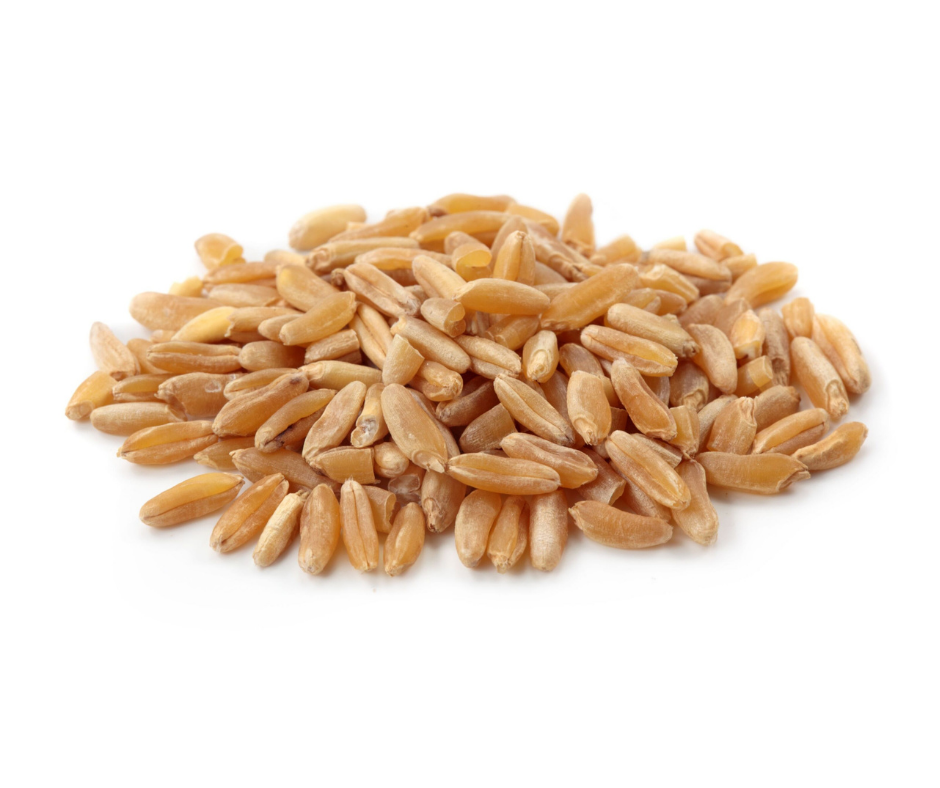 Wheat Non GMO