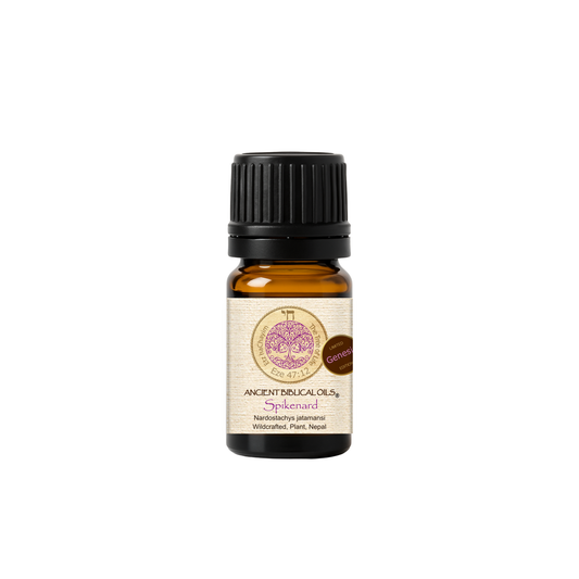 Pure Spikenard 5ml