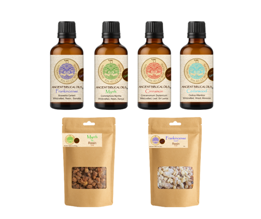 Everyday Family Pack